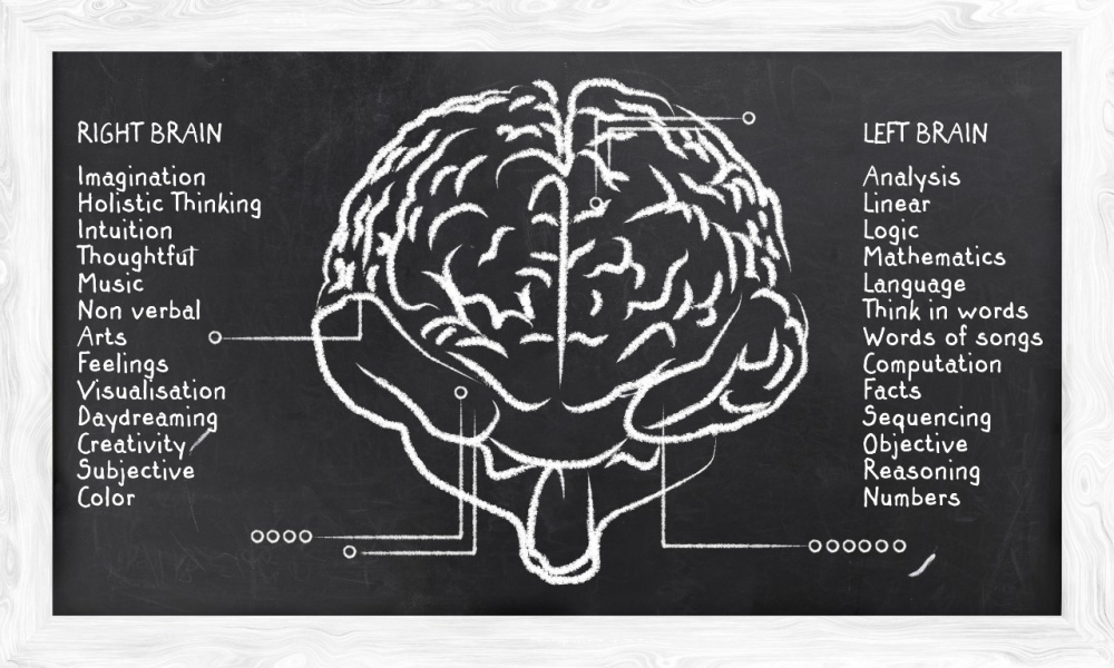 Right brained left brained. Левое и правое полушарие. brain left and right hemisphere. функциональная асимметрия полушарий мозга. воображение мозг.